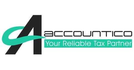 Accountant / Tax Advisor